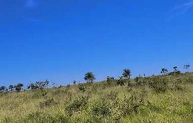 Imagem: A fazenda está localizado em Jaraguari, MS à venda por R$200.000