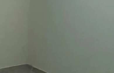 Imagem 8: Alugo Lauzane Paulista. 1 Banheiroe2 Dormitórios