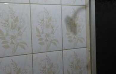 Imagem 16: Alugo casa Rua Caruaru em Arthur lundgren 1 paulista PE