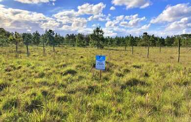 Imagem 6: Terreno a venda em Balneário Gaivota