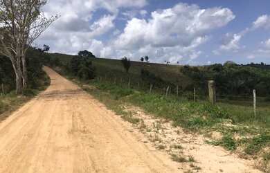 Imagem 13: Vendo fazenda com 280 ta em Santa Luzia do Itanhy