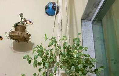 Imagem 9: Casa para Venda em Niterói, Santa Rosa, 3 dormitórios, 3 banheiros, 1 vaga