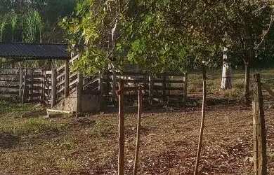 Imagem 7: Chacará 2 alq, Excelente Localização 5 minutos de Goiânia, pela BR...