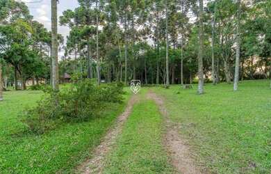 Imagem 10: Terreno na BR277. 85.023m² de Área