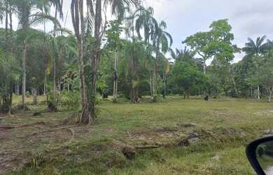 Imagem: O terreno está localizado em Alvorada, Manaus à venda por