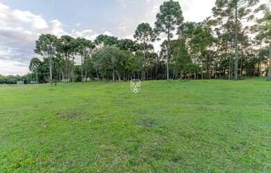 Imagem 4: Terreno na BR277. 85.023m² de Área