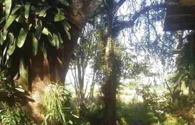 Imagem 9: Sítio em Santa Cruz. 89.000m² de Área