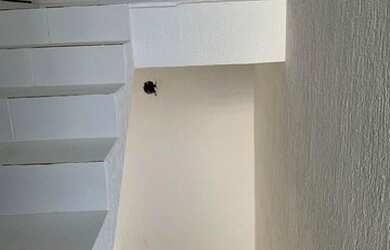 Imagem 10: Casas para venda em Jundiaí no bairro Bela Vista