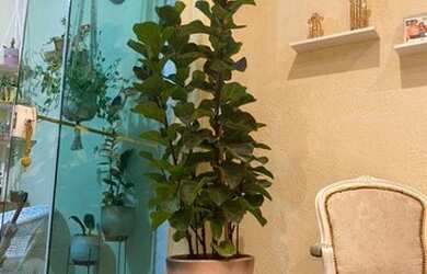 Imagem 8: Casa para Venda em Niterói, Santa Rosa, 3 dormitórios, 3 banheiros, 1 vaga