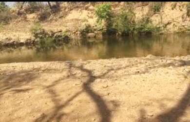 Imagem 2: Vende-se uma excelente fazenda de 110 Alqueires