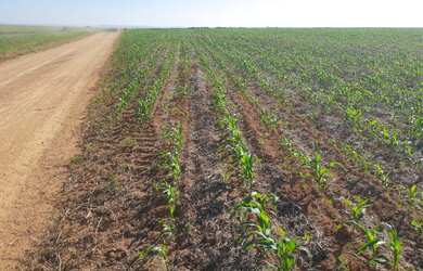 Imagem: A fazenda possui 2.800.000m² de Área e está localizado em