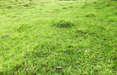 Imagem 10: VC - Vendo Terreno bem localizado em Nazaré Paulista