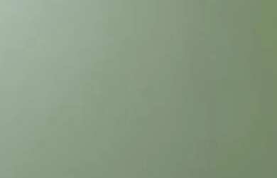 Imagem 11: Alugo Lauzane Paulista. 1 Banheiroe2 Dormitórios