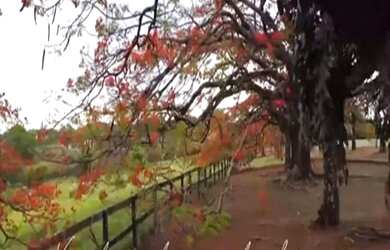 Imagem: O terreno à venda possui 499m² de Área e está localizado