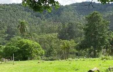 Imagem 2: Lote/Terreno para venda 500 M2