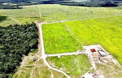 Imagem: A fazenda está localizado em Tailândia, PA à venda por R$30.000.000