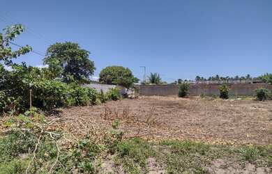 Imagem 2: Terreno 15x20 Em São Miguel dos Milagres Vizinho ao Hotel Anga