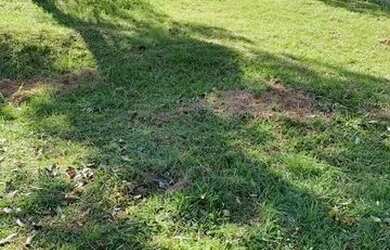 Imagem: O terreno possui 722m² de Área e está localizado em Tamboré