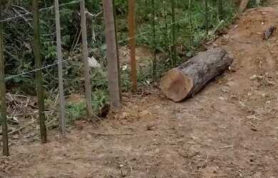 Imagem: O terreno possui 100m² de Área e está localizado em Andaraí