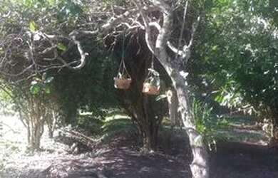 Imagem 10: Sítio em Santa Cruz. 89.000m² de Área