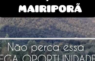 Imagem: O terreno possui 20.000m² de Área e está localizado em Centro