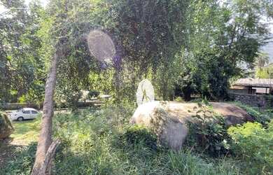 Imagem 14: Maravilhoso terreno plano no Reserva do Itanhangá