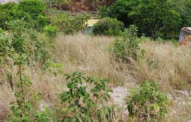 Imagem: O terreno possui 320m² de Área e está localizado em Arembepe