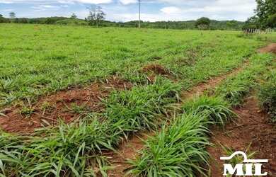 Imagem: A fazenda possui Varanda e está localizado em Jaraguá, GO