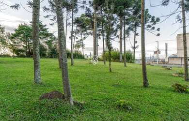 Imagem 13: Terreno na BR277. 85.023m² de Área