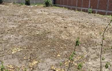 Imagem 3: Terreno 15x20 Em São Miguel dos Milagres Vizinho ao Hotel Anga