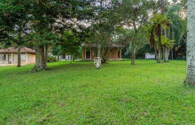 Imagem 7: Terreno na BR277. 85.023m² de Área