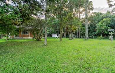 Imagem 15: Terreno na BR277. 85.023m² de Área