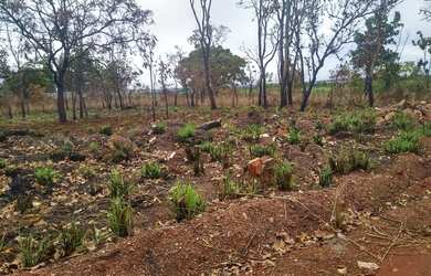 Imagem 5: Terreno no bairro Loteamento Jardim Novo Niterói I em Várzea Grande
