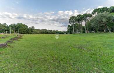 Imagem 3: Terreno na BR277. 85.023m² de Área