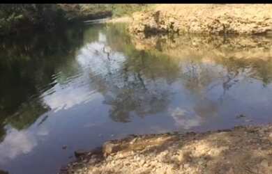 Imagem 1: Vende-se uma excelente fazenda de 110 Alqueires