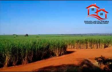 Imagem 1: Fazenda 142 Alqueirão Região de Carneirinho/MG