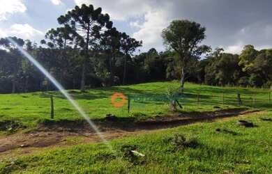 Imagem 2: Chácara à venda, 7 alqueires por R$ 1.200.000 - Zona Rural - Guarapuava/PR