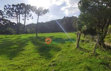 Imagem 6: Chácara à venda, 7 alqueires por R$ 1.200.000 - Zona Rural - Guarapuava/PR
