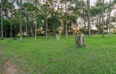 Imagem 12: Terreno na BR277. 85.023m² de Área