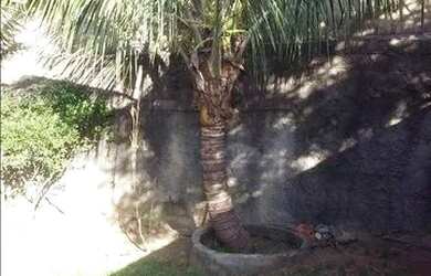 Imagem 11: Terreno à venda, 400 m² por R$ 639.000,00 - Sapopemba - São Paulo/SP