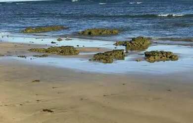 Imagem: A casa possui 3 Dormitórios, 4 Banheiros, 2 Vagas na garagem