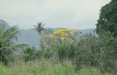 Imagem 3: Sítio em Santa Cruz. 89.000m² de Área