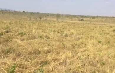 Imagem 5: Vende-se uma excelente fazenda de 110 Alqueires