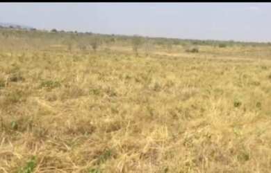 Imagem 7: Vende-se uma excelente fazenda de 110 Alqueires