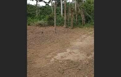 Imagem 3: Lotes no Iranduba. 250m² de Área