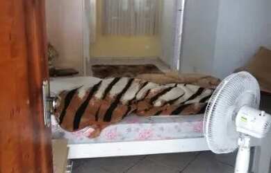 Imagem 1: CASA VELOSO OSASCO