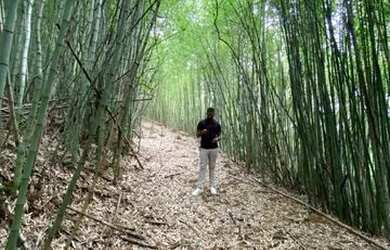 Imagem: O terreno possui 2.045m² de Área e está localizado em Barra