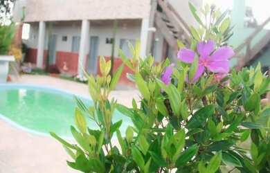 Imagem 15: Vendo pousada linda e aconchegante - Alto Paraíso de Goiás - GO