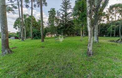 Imagem 6: Terreno na BR277. 85.023m² de Área