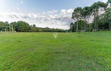 Imagem 1: Terreno na BR277. 85.023m² de Área